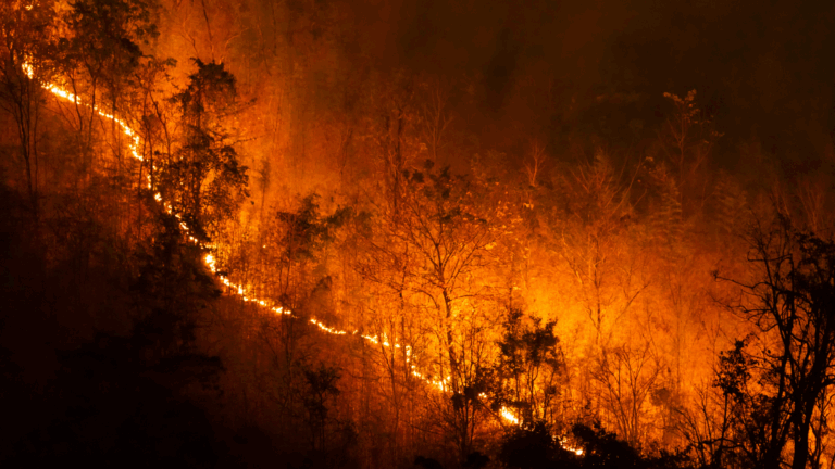 Panhandle Wildfire Guerra LLP Attorneys
